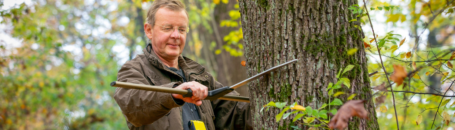 Alois Schambeck - Waldbewertung