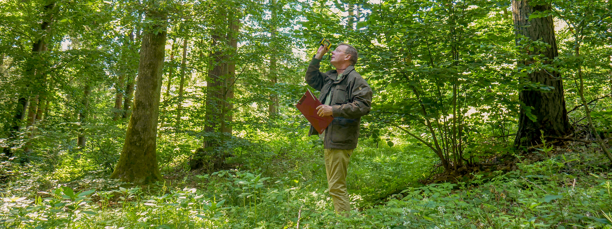 Alois Schambeck - Wald An- & Verkauf - Bewertung und Beratung bei An- und Verkauf einzelner Grundstücke und ganzer Forstbetriebe – Forstinvestment im In- und Ausland